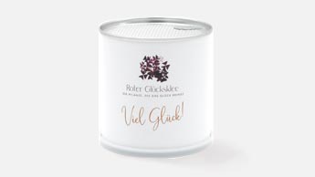 Für berufliche Anlässe