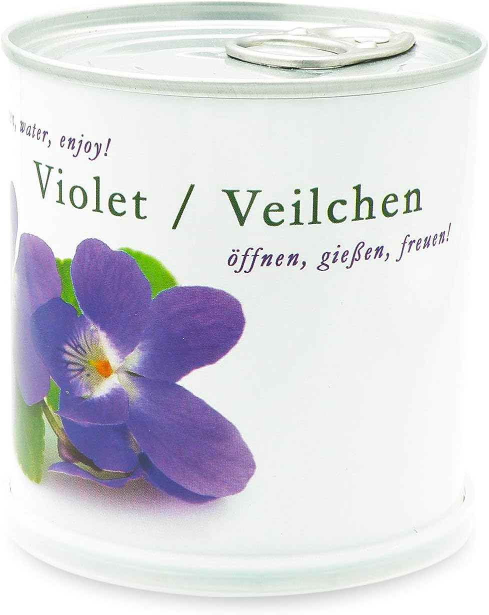 Veilchen - Blumen in der Dose