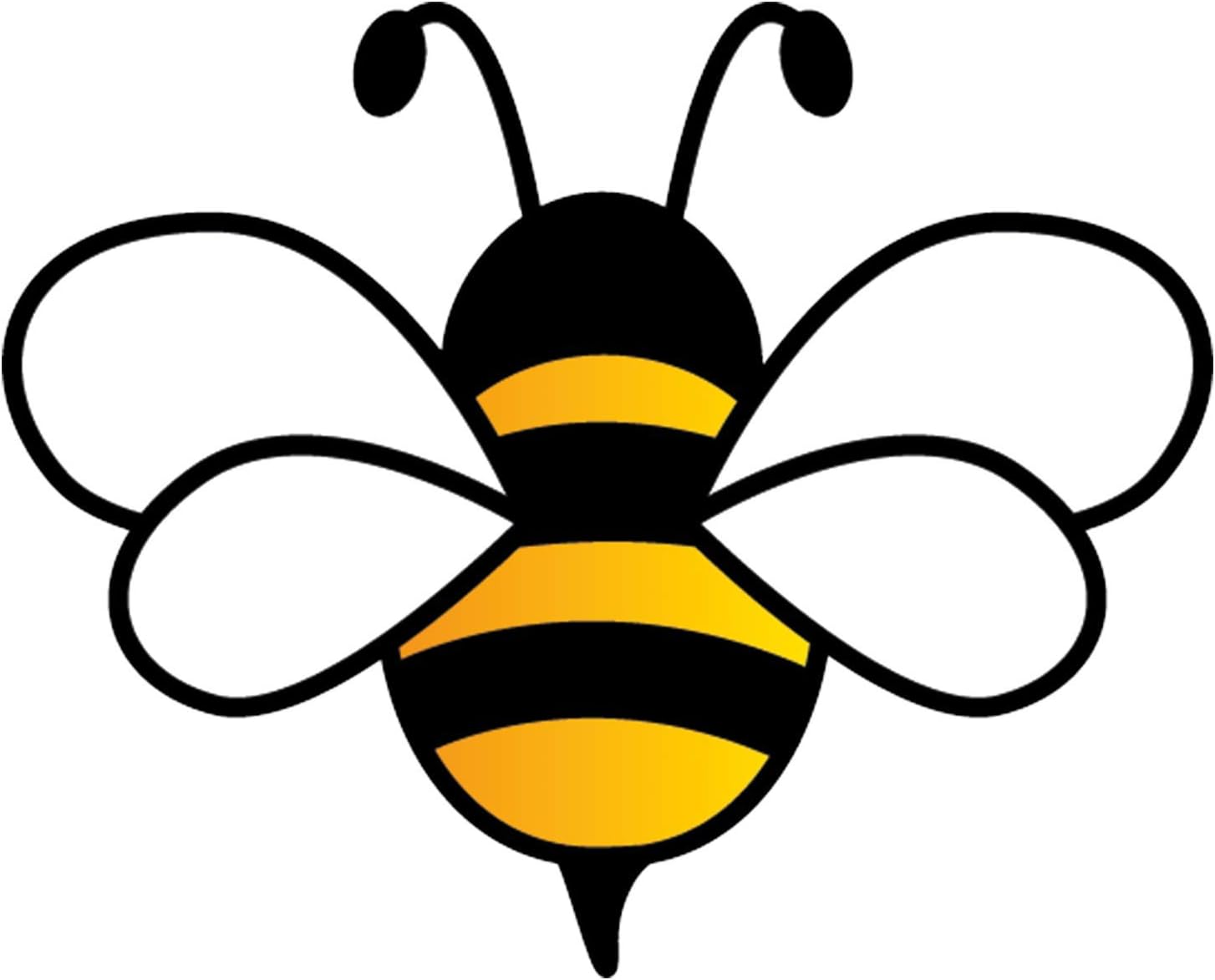 Schmetterlinggarten mit 30 verschiedene Blumensorten für Schmetterlinge und Bienen - Ein bunte Blütenmischung