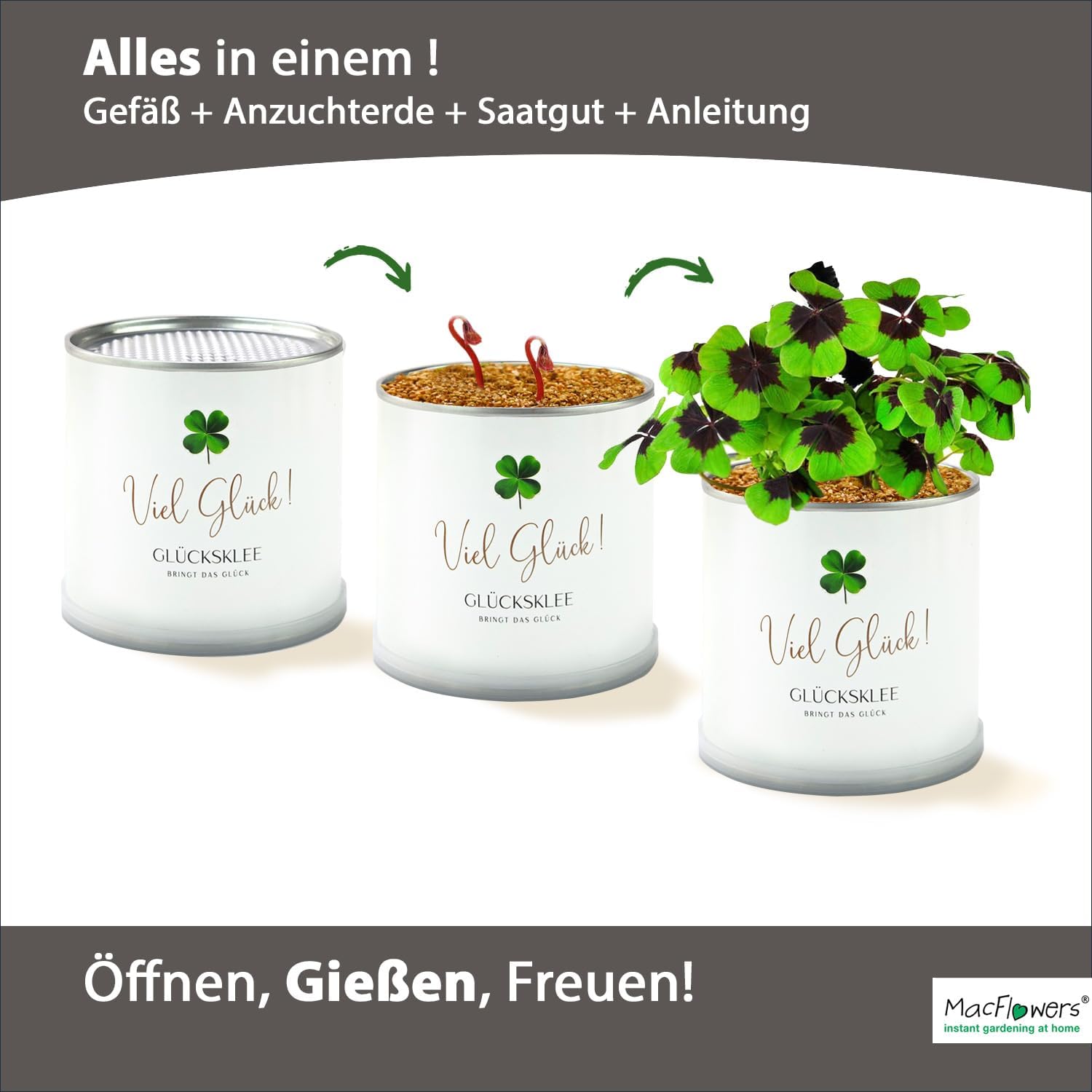Viel Glück Glücksklee Anzuchtset in der Blumendose | Das liebe Geschenk für die Freundin | Öffnen Gießen Freuen | Wünsche Glück als Blumengruß Geschenk für Frau