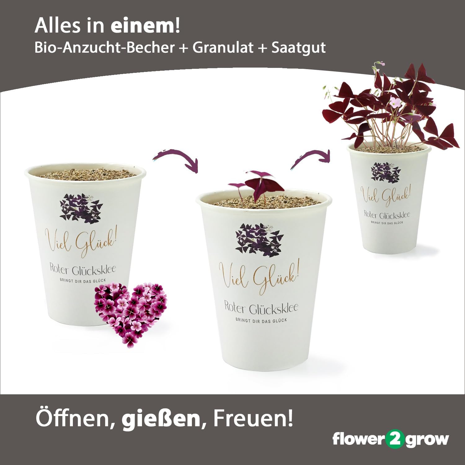 Flower2Grow | Viel Glück Glücksklee Herzblatt | Anzuchtset im Bio 2Go Becher | Das liebe Geschenk für Freundin | Öffnen Gießen Freuen | Wünsche Glück als Blumengruß Geschenk