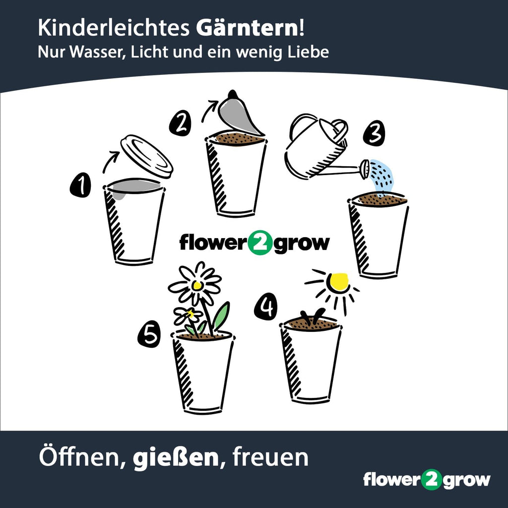 Flower2Grow Vergissmeinnicht im Bio 2Go Becher