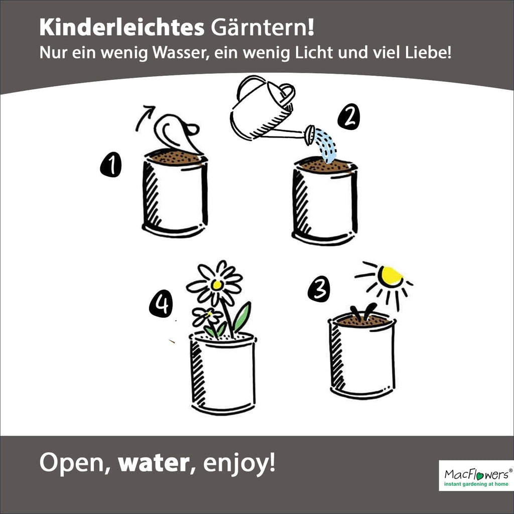 Viel Glück Glücksklee Anzuchtset in der Blumendose | Das liebe Geschenk für die Freundin | Öffnen Gießen Freuen | Wünsche Glück als Blumengruß Geschenk für Frau