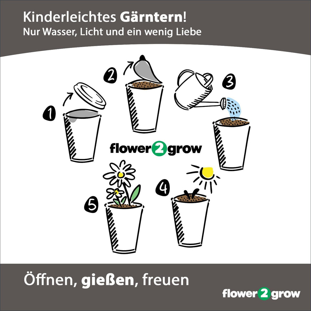 Flower2Grow | Viel Glück Glücksklee Herzblatt | Anzuchtset im Bio 2Go Becher | Das liebe Geschenk für Freundin | Öffnen Gießen Freuen | Wünsche Glück als Blumengruß Geschenk