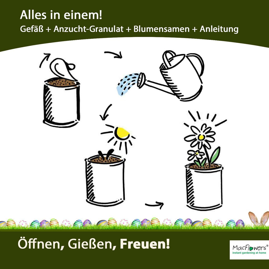 Ostergrüße zu Ostern Osterstrauß Osterhase Anzucht Set mit Sonnenblumen Vergissmeinnicht Kornblumen Schmuckkörbchen Saatgut - 4er Set Geschenk
