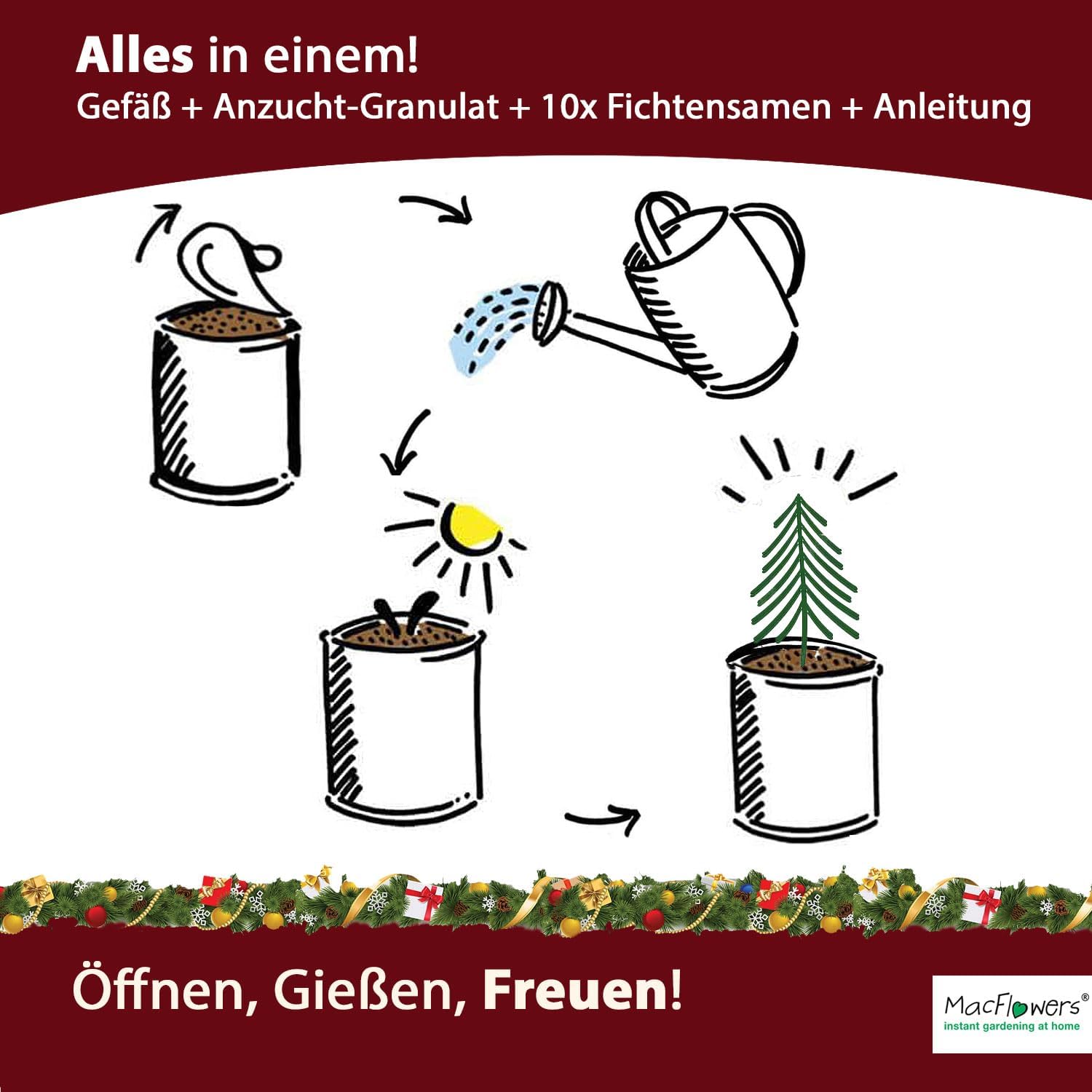 Weihnachtsbaum Fichte Anzucht-Set | 2 Stück | Geschenk in instant Gardening Blumendosen | Spar-Set | Für Adventskalender Weihnachten