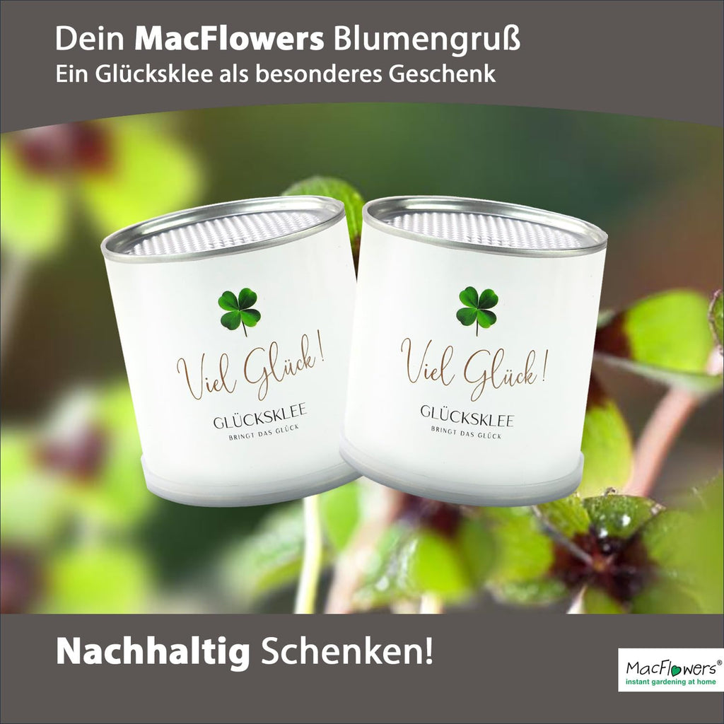 Viel Glück Glücksklee Anzuchtset in der Blumendose | Das liebe Geschenk für die Freundin | Öffnen Gießen Freuen | Wünsche Glück als Blumengruß Geschenk für Frau