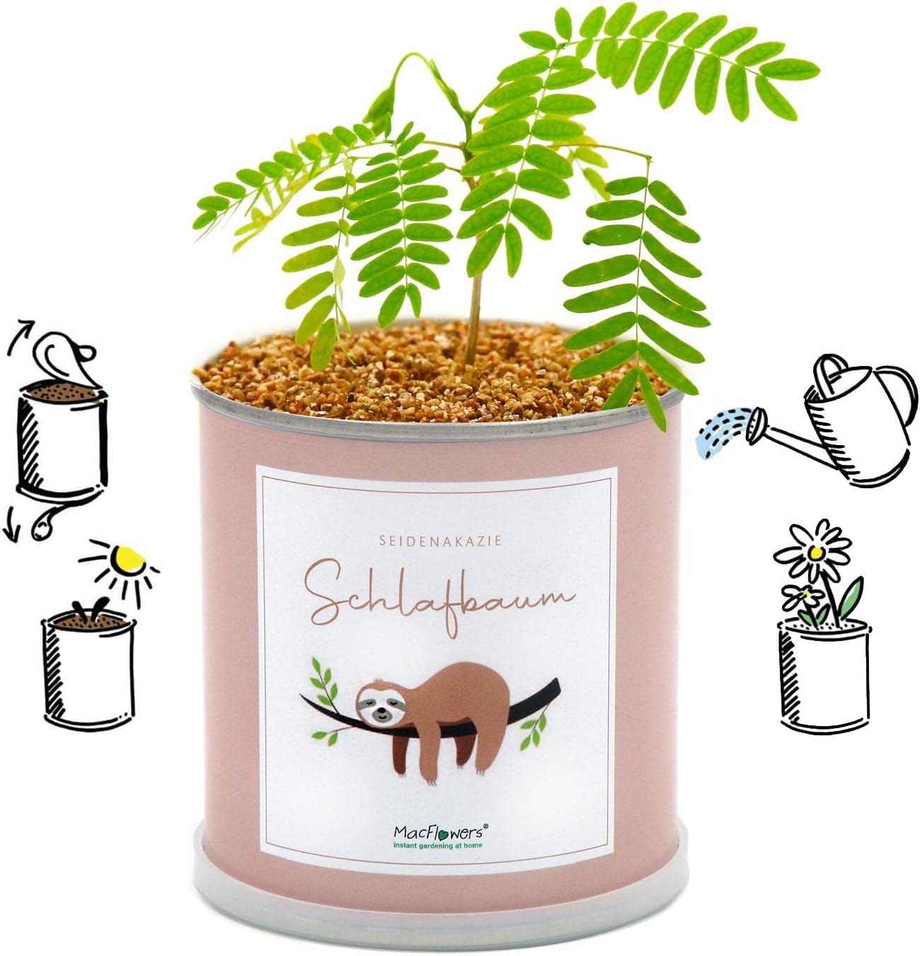Anzucht-Set mit echtem Schlafbaum