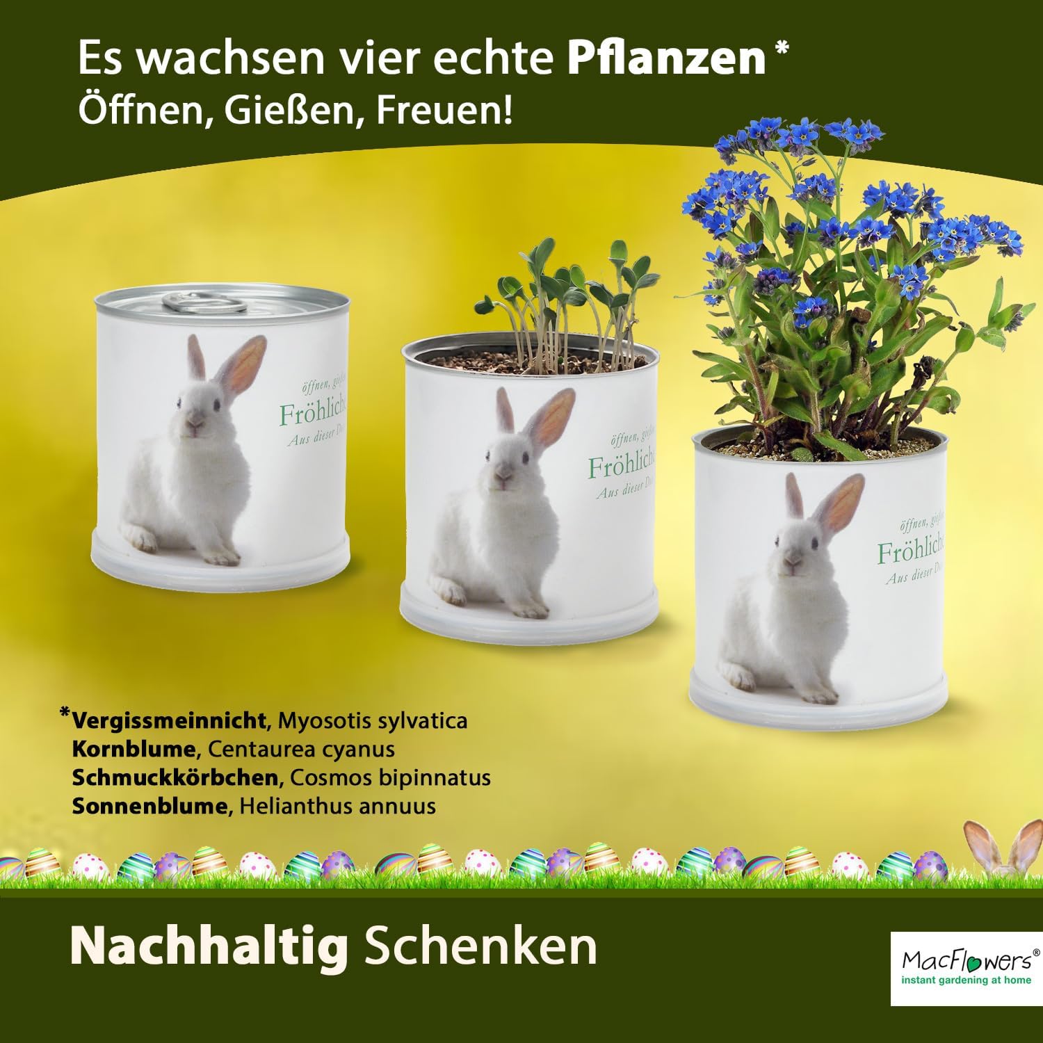 Ostergrüße zu Ostern Osterstrauß Osterhase Anzucht Set mit Sonnenblumen Vergissmeinnicht Kornblumen Schmuckkörbchen Saatgut - 4er Set Geschenk