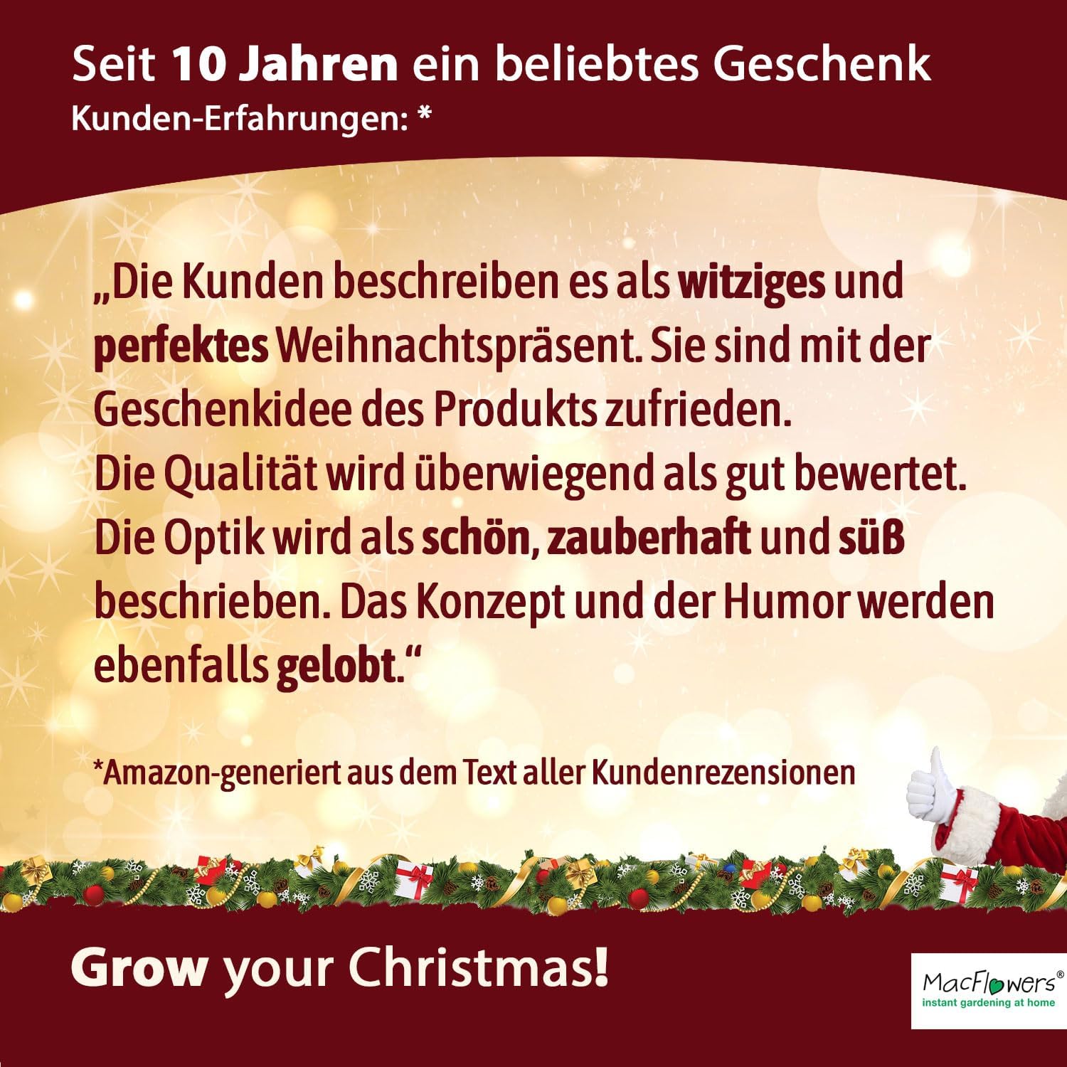 Ein MacFlowers Weihnachtsbaum in der Dose, Merry Christmas, Tannenbaum Anzuchtset mit 10 Samen für 6 Tannenbäume als Adventskalender Füllung Wichteln, Weihnachten