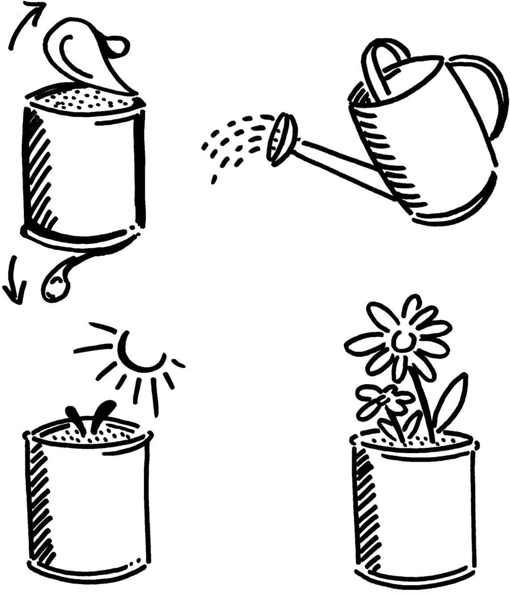 Veilchen - Blumen in der Dose