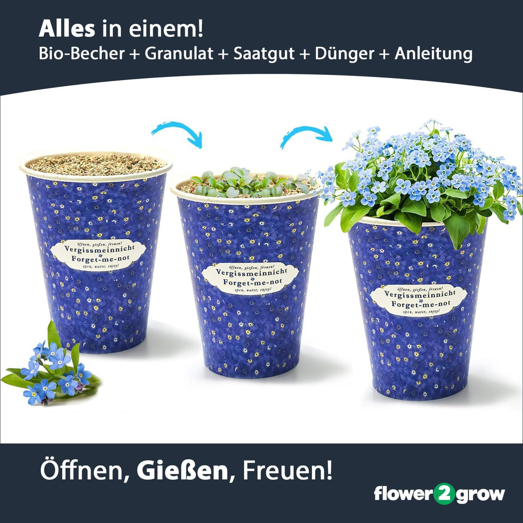 Flower2Grow Vergissmeinnicht im Bio 2Go Becher