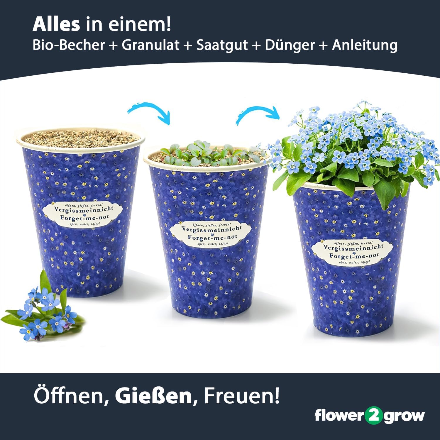 Flower2Grow Vergissmeinnicht im Bio 2Go Becher