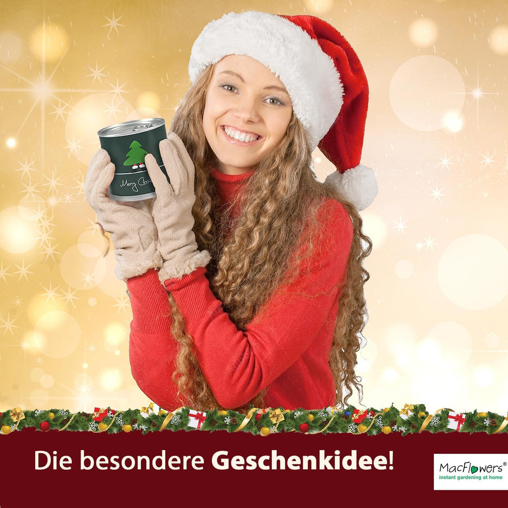 Weihnachtsbaum in der Dose - Merry Christmas Nostalgisch Dein Christbaum Adventskalender Befüllung Wichtelgeschenk