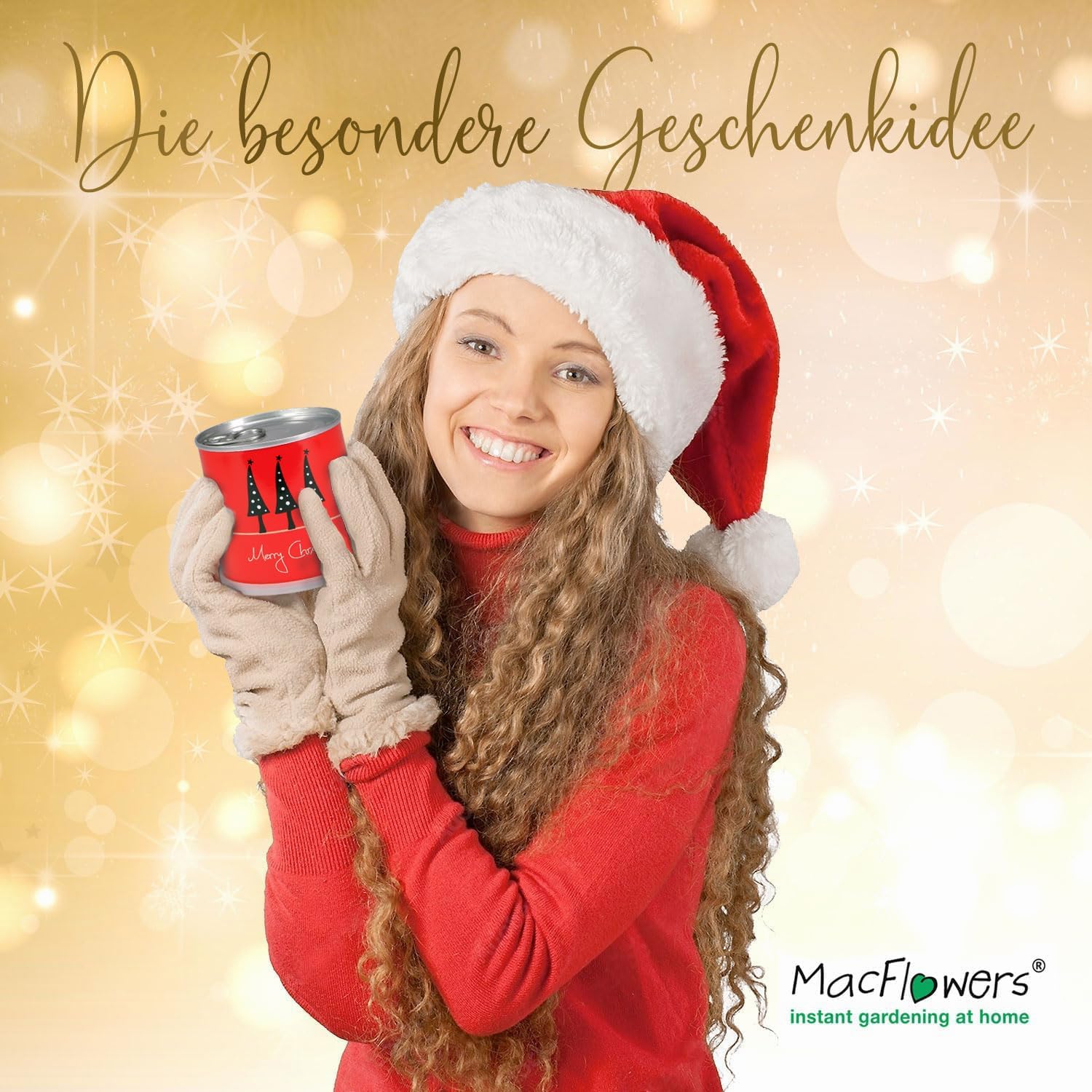 Weihnachtsbaum in der Blumendose | Merry Christmas Rot | Dein Anzuchtset | Tannenbaum Adventskalender Wichteln Nachhaltig
