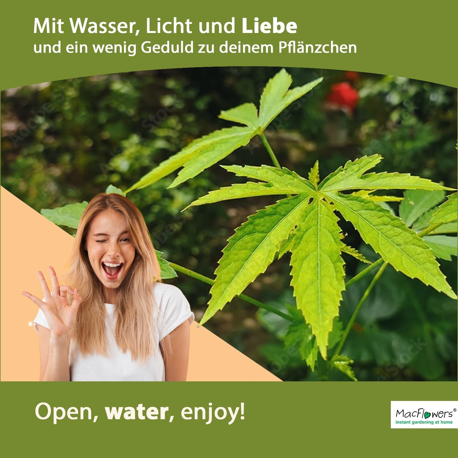 Mein erstes Gras Pflänzchen | Scheingras in der Blumendose | Originelle Geschenkidee | Zum Verwechseln ähnlich | Nachhaltig Schenken