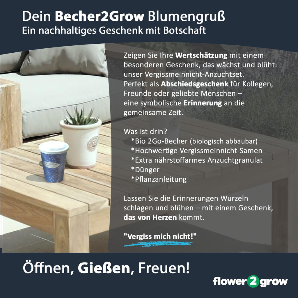 Flower2Grow Vergissmeinnicht im Bio 2Go Becher