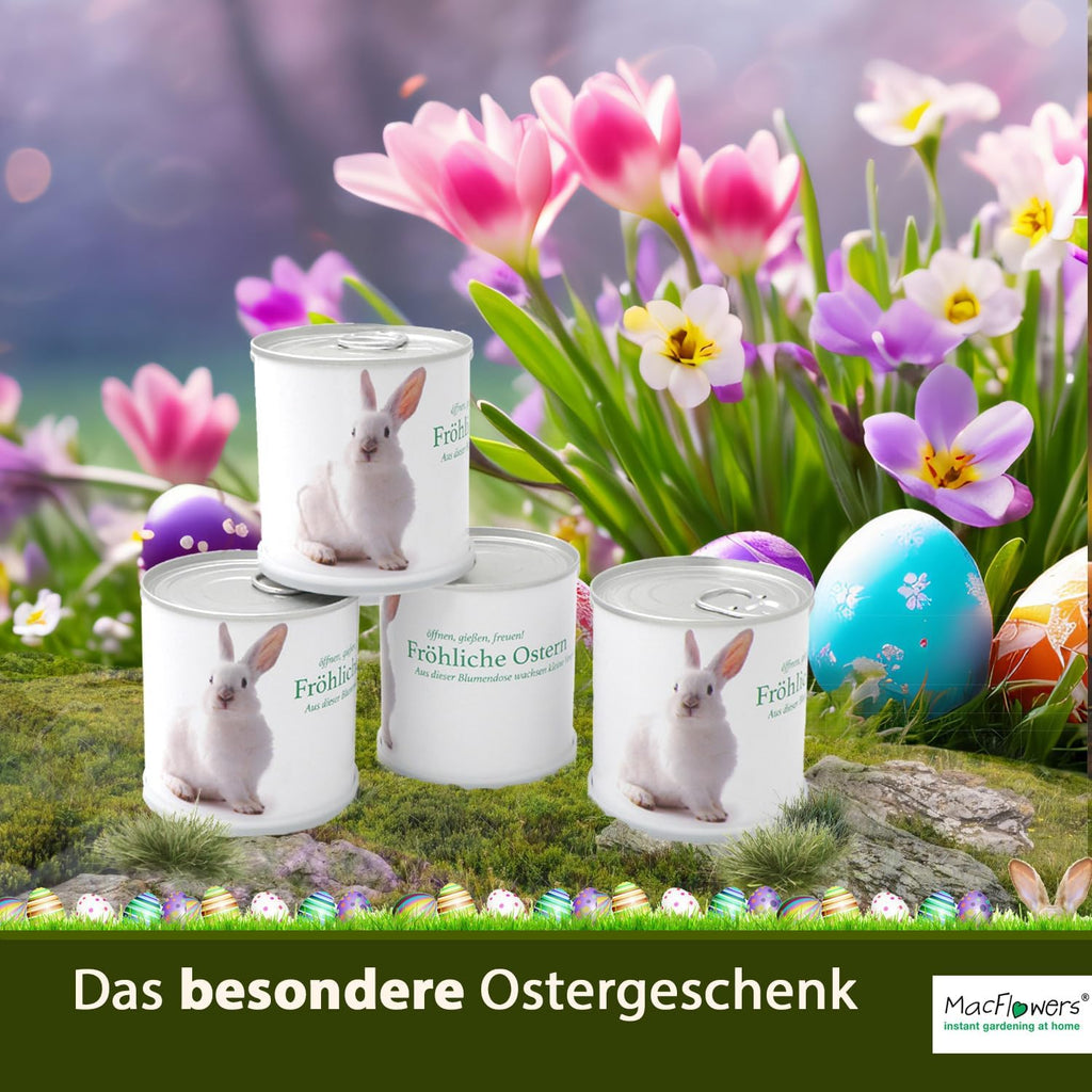 Ostergrüße zu Ostern Osterstrauß Osterhase Anzucht Set mit Sonnenblumen Vergissmeinnicht Kornblumen Schmuckkörbchen Saatgut - 4er Set Geschenk