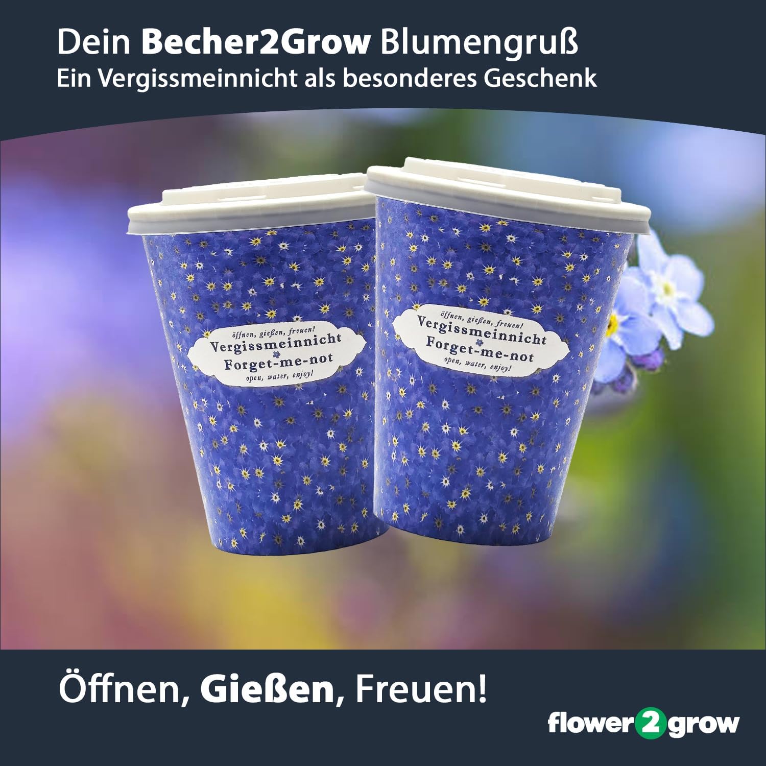 Flower2Grow Vergissmeinnicht im Bio 2Go Becher