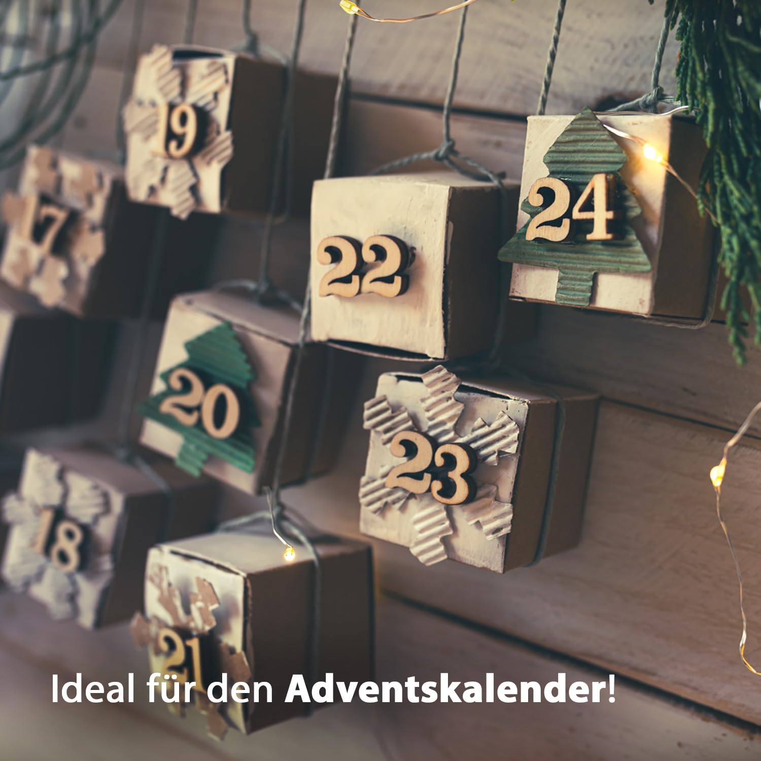 4x Deine MacFlowers Tannenbäume, Nordmanntanne Anzuchtset, Alles enthalten, Nachhaltig Schenken, Geschenk für Frauen und Männer als Adventskalender Wichteln Weihnachten