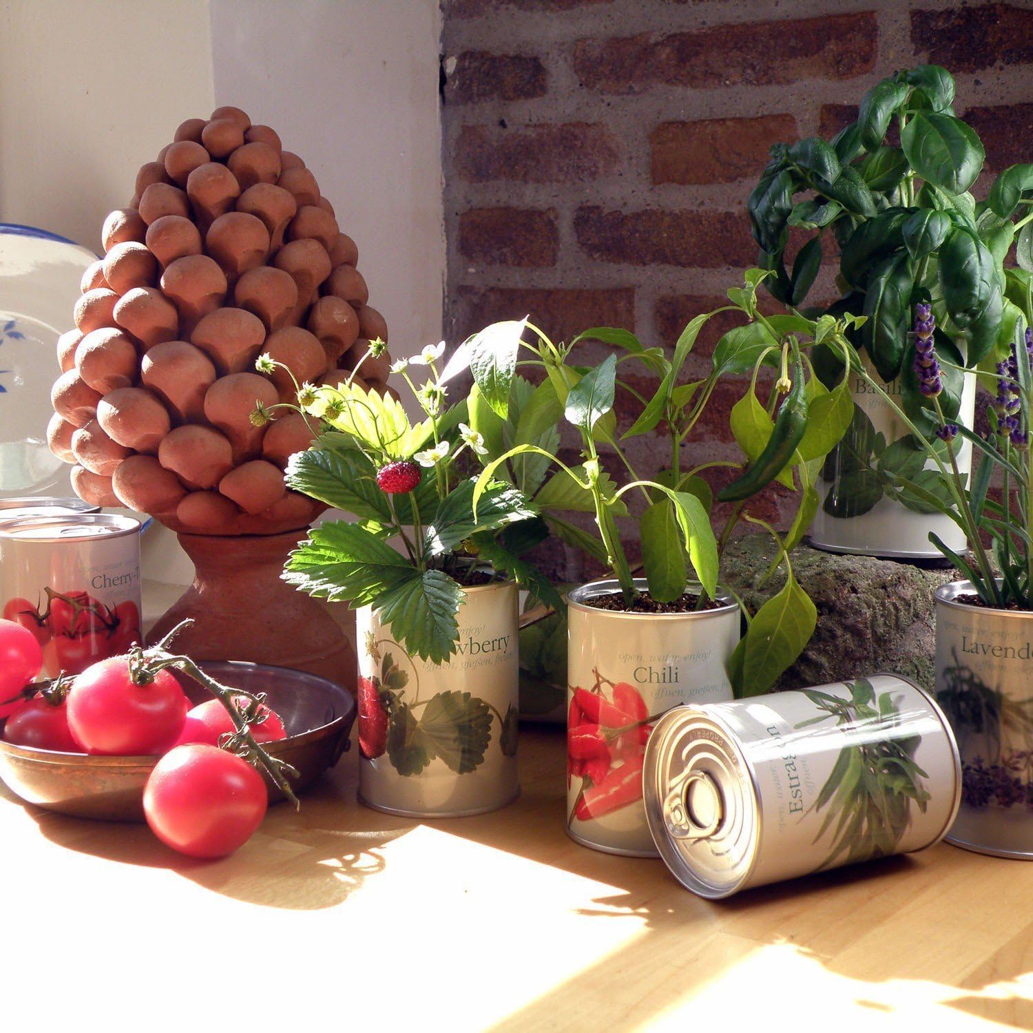 Kleines Anzuchtset mit Erdbeeren