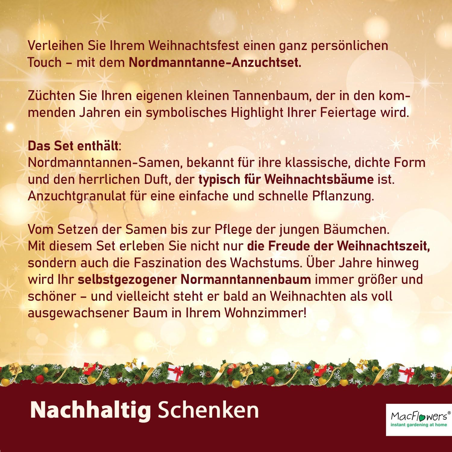 Dein MacFlowers Tannenbaum | Dein Tannenbaum Anzuchtset | Alles enthalten | 10 Samen | Nachhaltig Schenken | Geschenk für Frauen und Männer | Adventskalender Füllung Wichteln Nordmanntanne