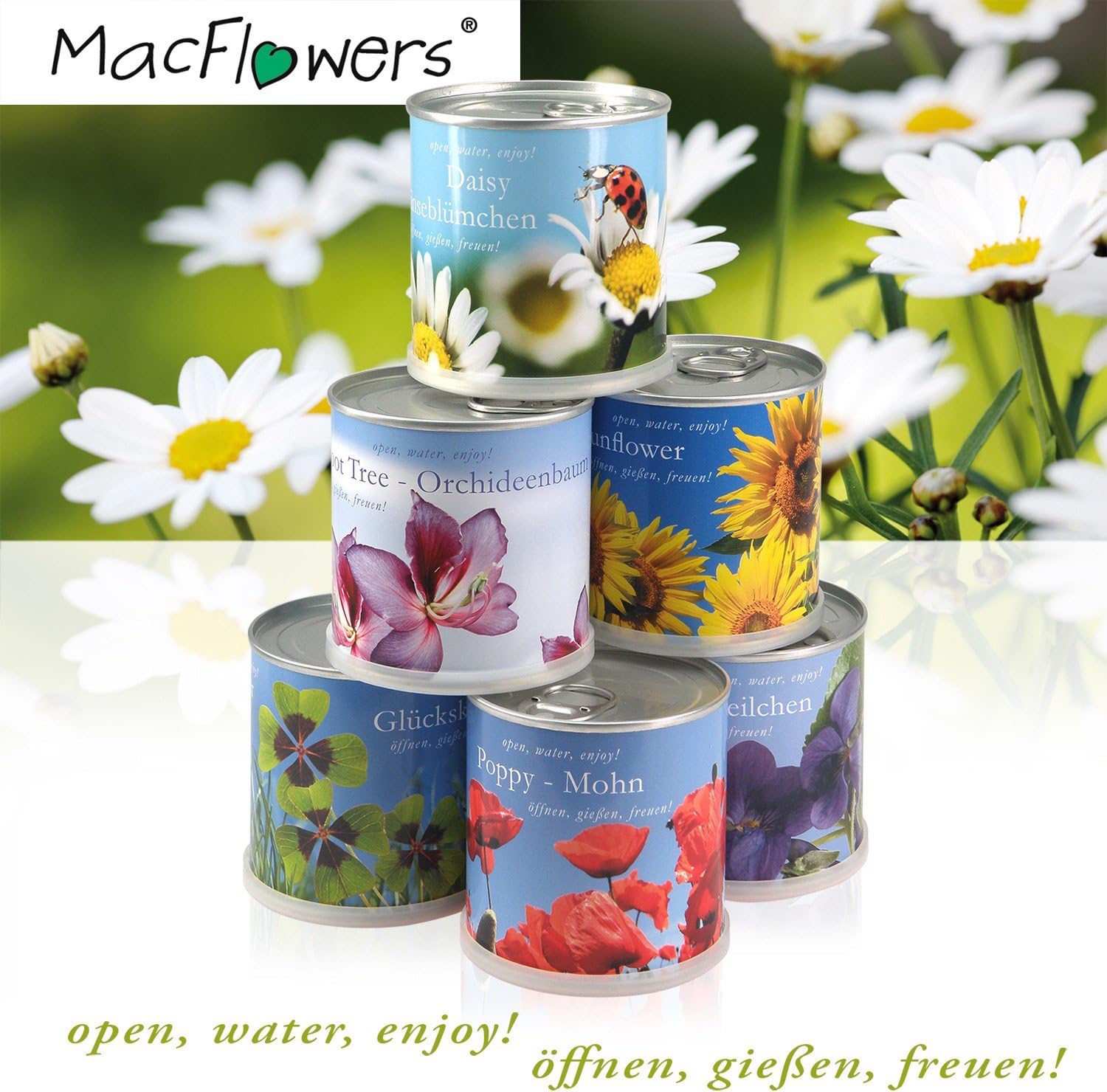 Anzucht-Set vierblättriger Glücksklee | 2 Stück | Eine Sorte Klee | Nachhaltiges Geschenk in instant gardening Blumendosen im Sparset