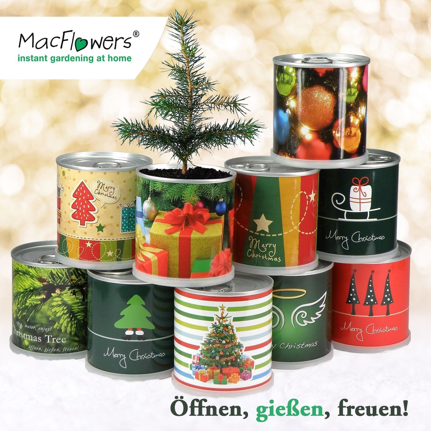 Ein MacFlowers Tannenbaum in der Dose, Goldene Weihnachten, Saatgut aus frischer Ernte, Exklusiv & Nachhaltig Geschenk Set für Frauen und Männer, Adventskalender Füllung Wichteln