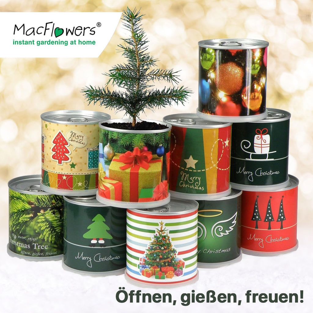 Weihnachtsbaum in der Dose - Merry Christmas Nostalgisch Dein Christbaum Adventskalender Befüllung Wichtelgeschenk