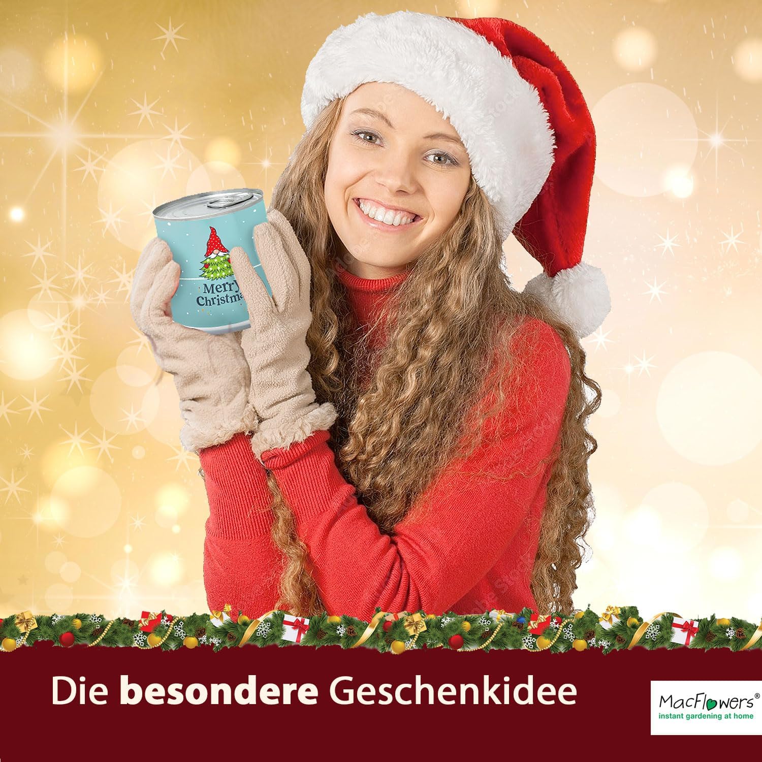 4 Stück MacFlowers Tannenbaum Nordmanntanne Anzuchtset, Alles enthalte
