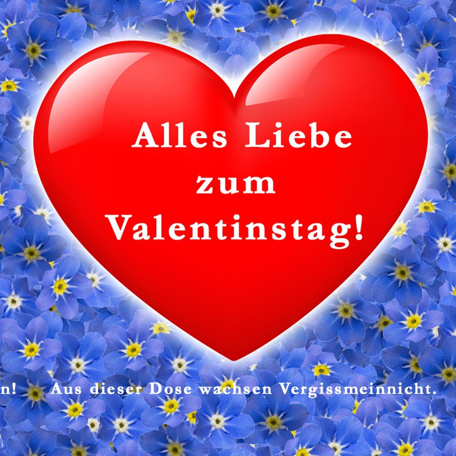 Blumengrüße aus der Dose - Valentinstag Herz mit Vergissmeinnicht