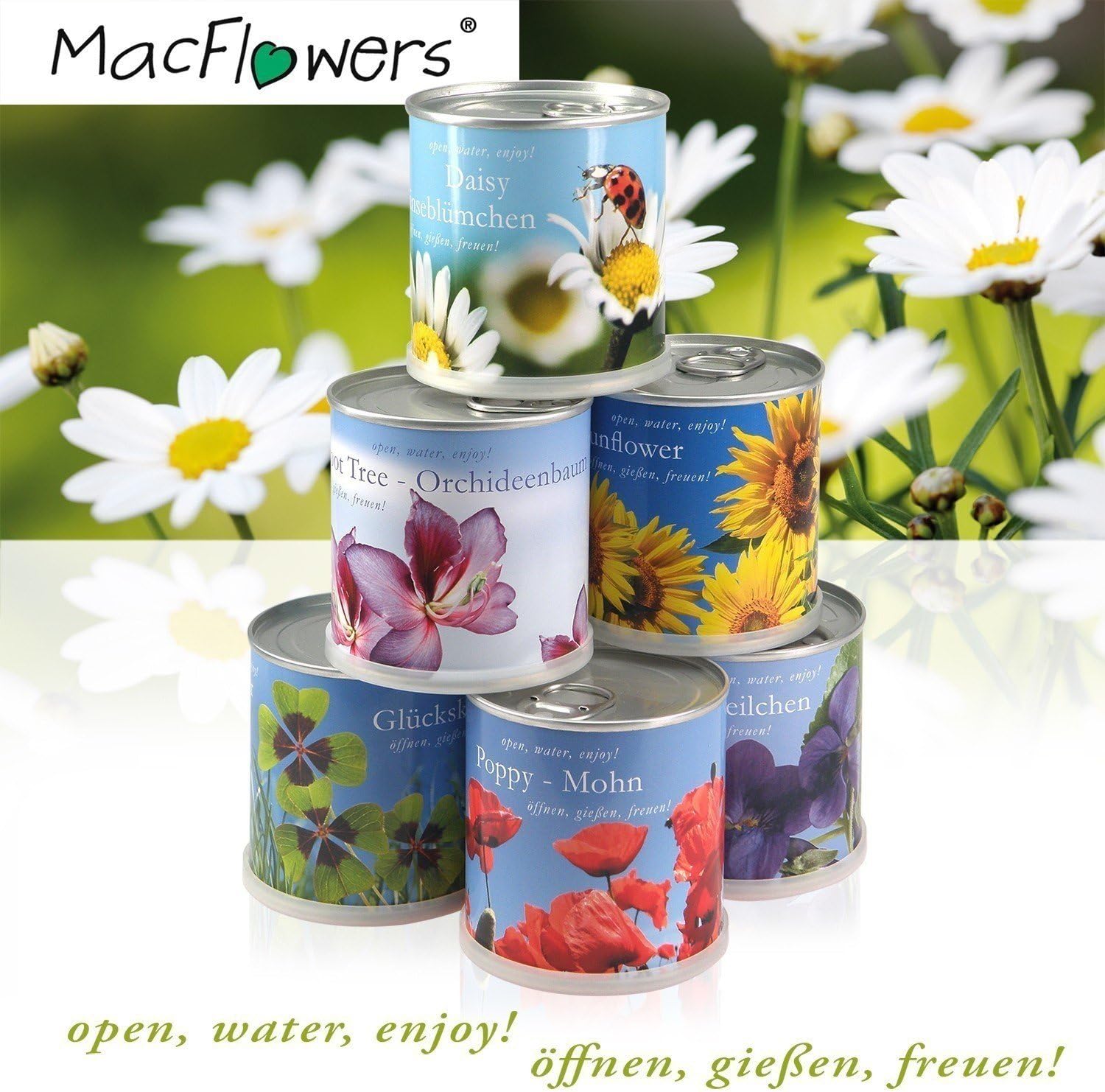 Blumen in der Dose - Edelweiss Bavaria