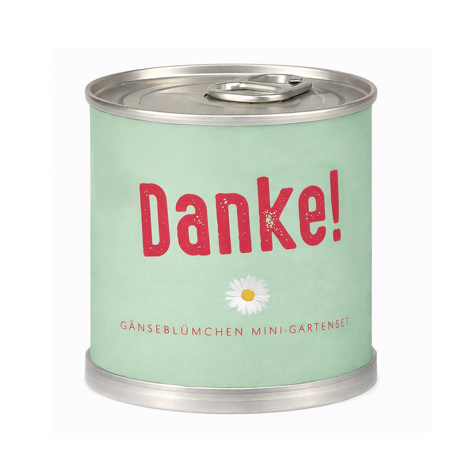 Danke schön Geschenk – Anzuchtset Gänseblümchen in der Blumendose | Danke