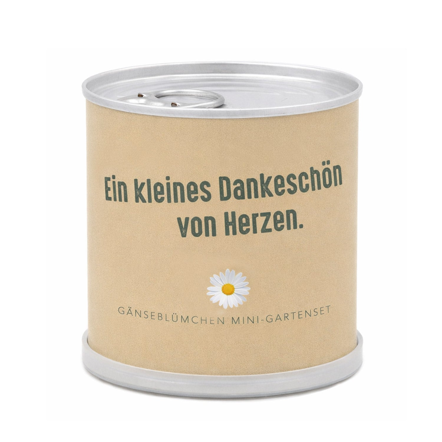 Danke sagen Geschenk – Anzuchtset Gänseblümchen in der Blumendose | Von Herzen