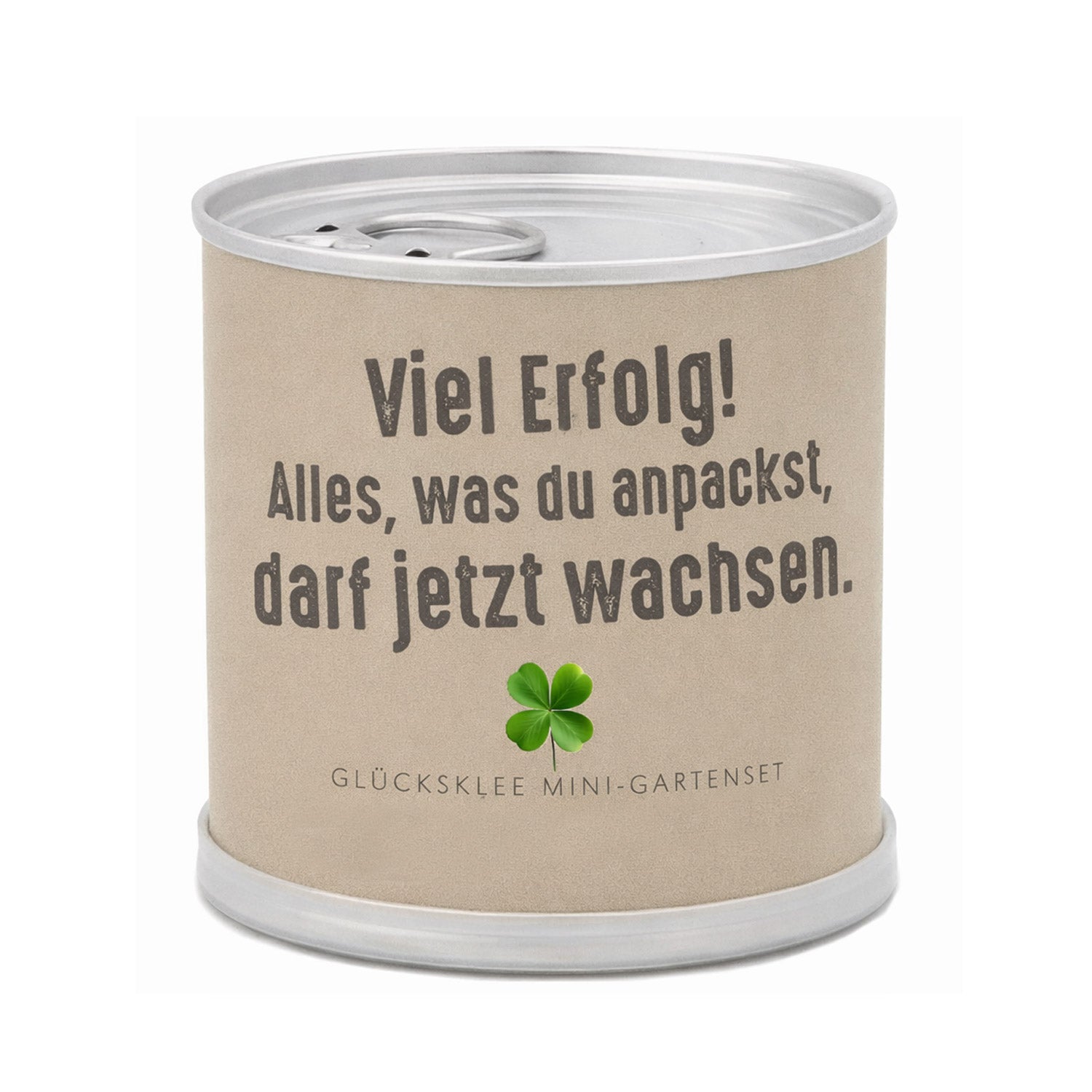 Geschenk zum Erfolg – Anzuchtset Gänseblümchen in der Blumendose | Mini-Gartenset unter 10 Euro