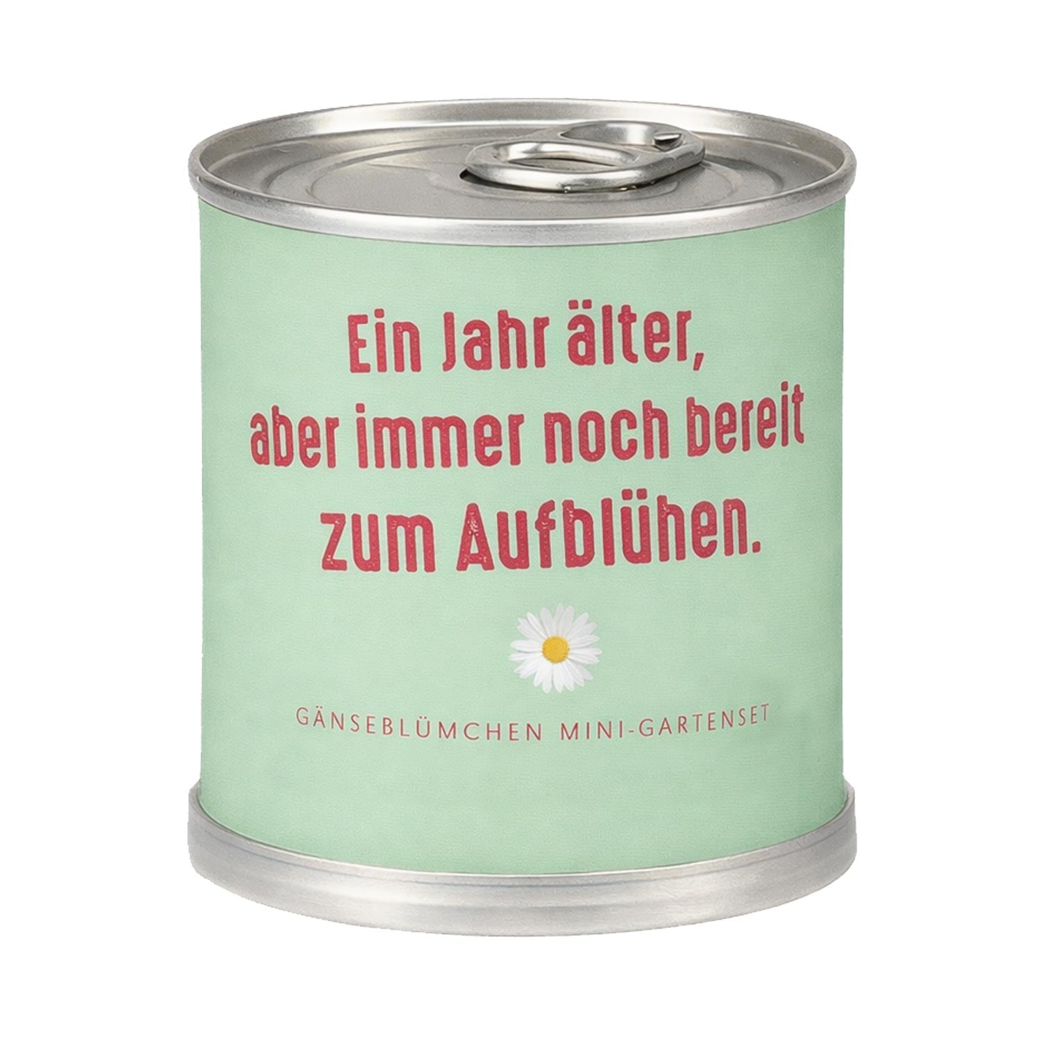 Gänseblümchen Anzuchtset – Originelles Geburtstagsgeschenk in der Dose "Aufblühen 2"
