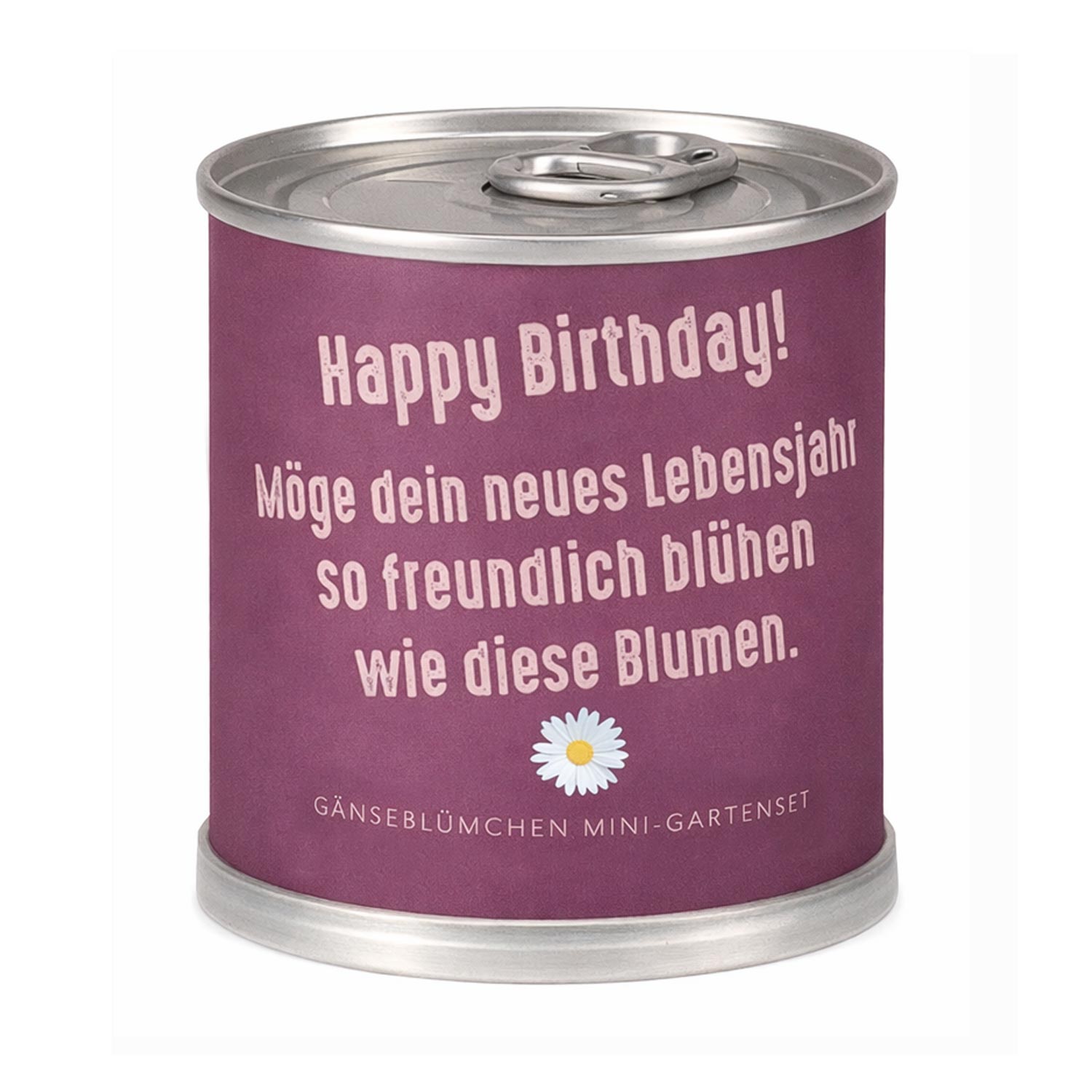Gänseblümchen Anzuchtset – Originelles Geburtstagsgeschenk in der Dose "Freundlich Blühen"