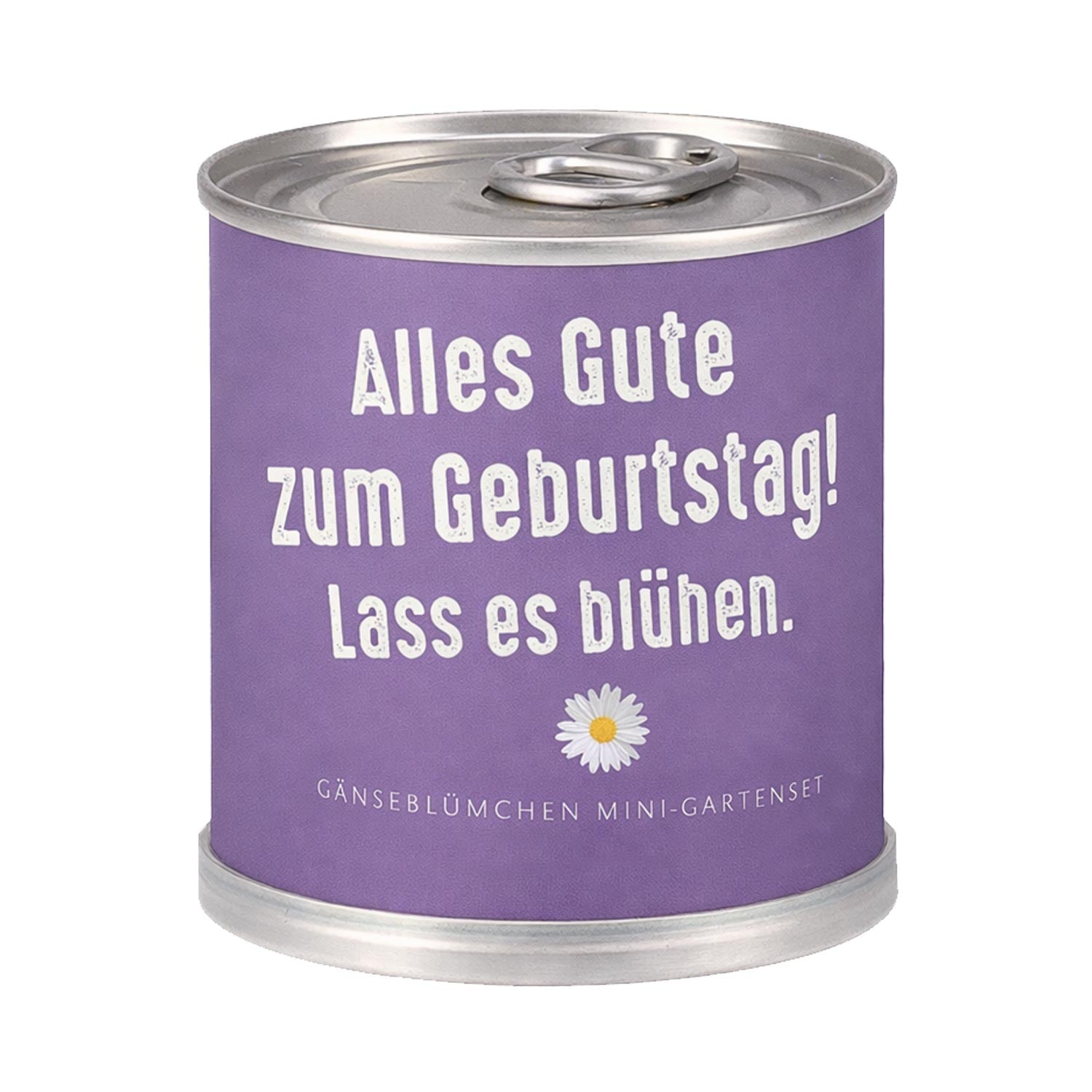 Gänseblümchen Anzuchtset – Originelles Geburtstagsgeschenk in der Dose "Blühen 2"