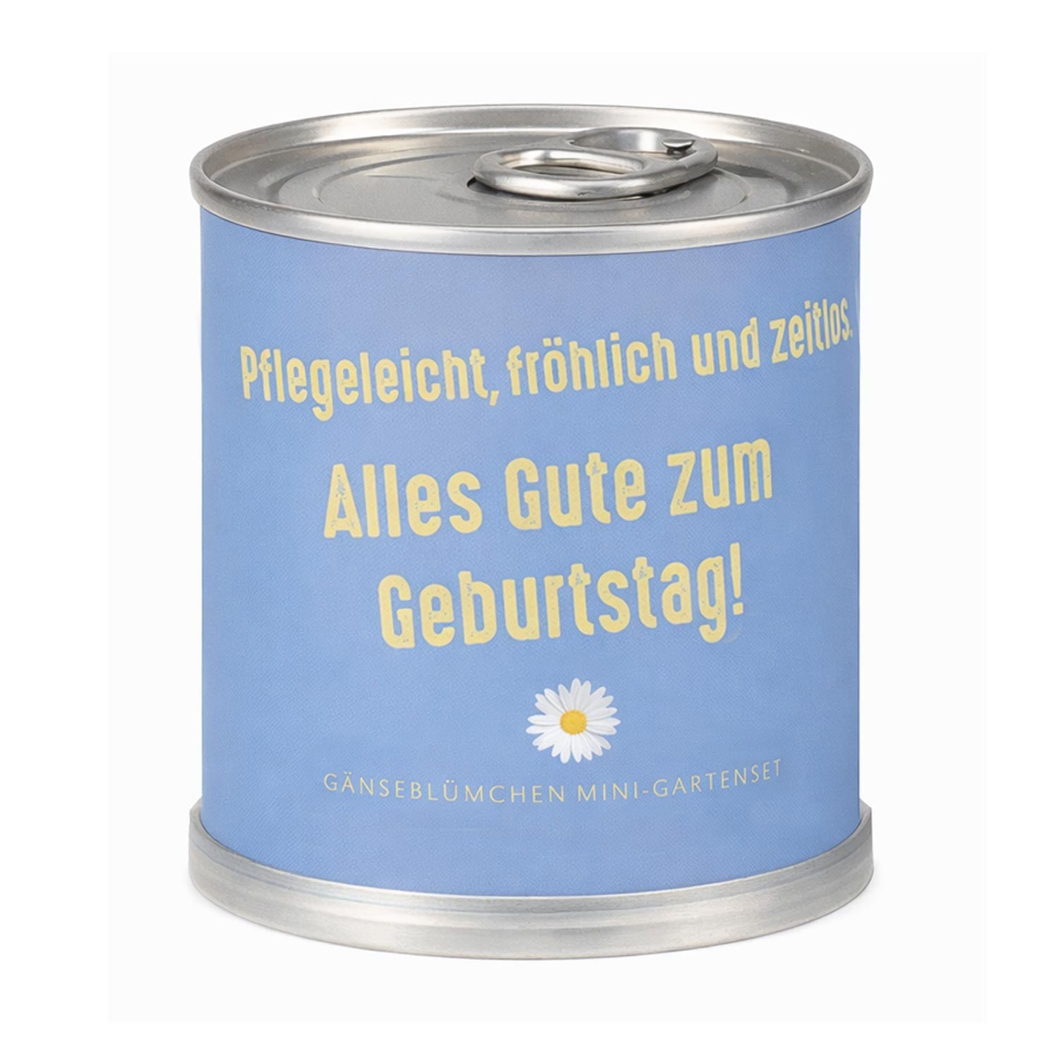 Gänseblümchen Anzuchtset – Originelles Geburtstagsgeschenk in der Dose "Pflegeleicht 2"