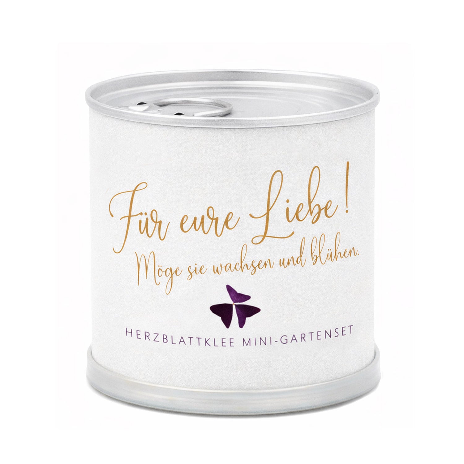 Hochzeitsgeschenk – Anzuchtset lila Glücksklee (Herzblattklee) in der Blumendose | unter 10 Euro