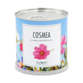 Cosmea | Schmuckkörbchen als Geschenk-Set