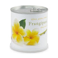 Frangipani Anzuchtset Yogabaum
