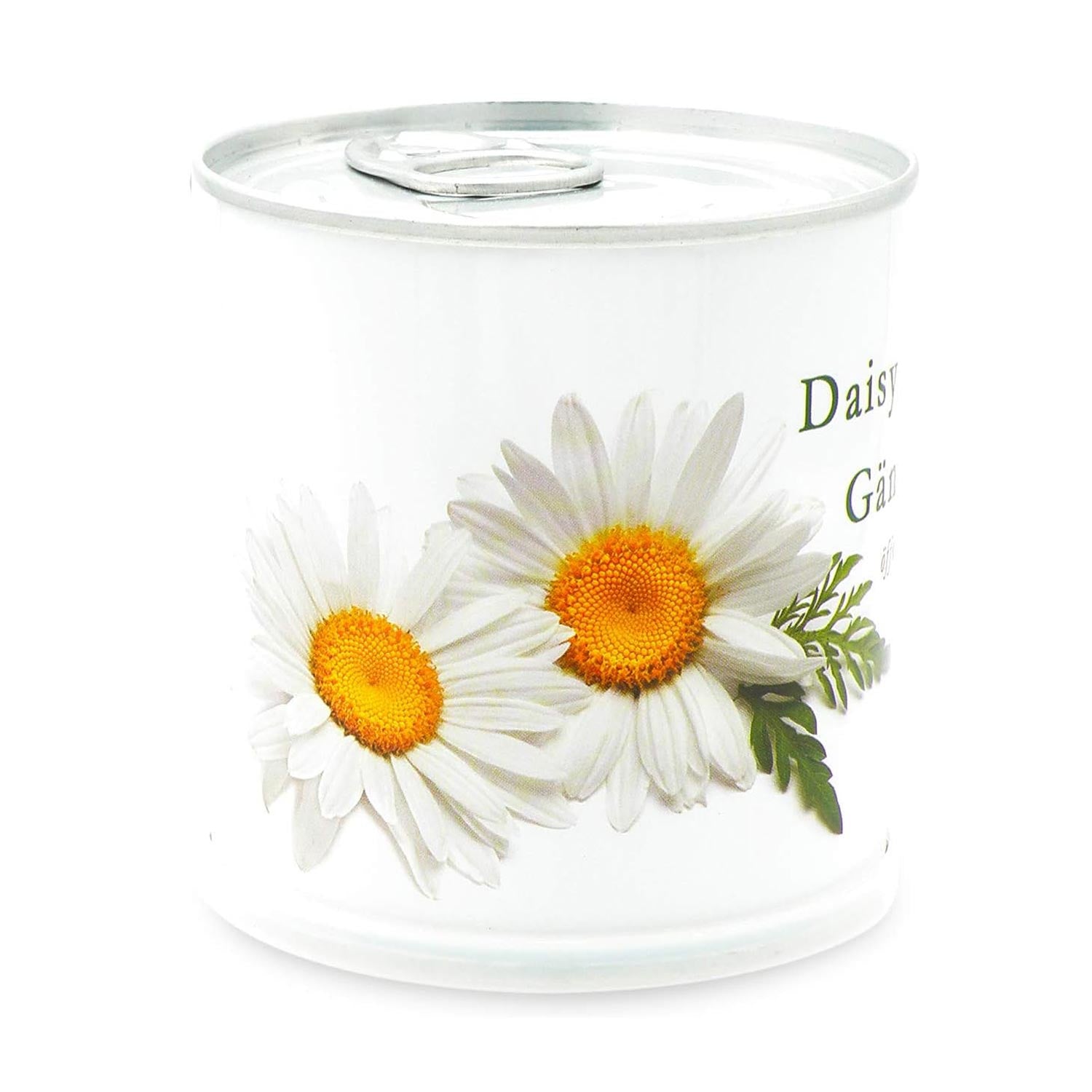 Gänseblümchen | Daisy Geschenk-Set