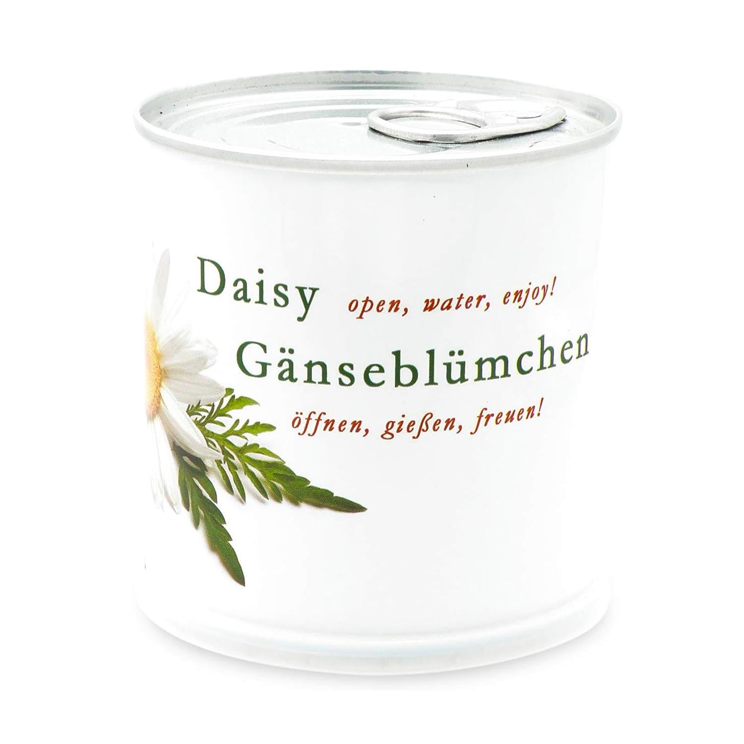 Gänseblümchen | Daisy Geschenk-Set