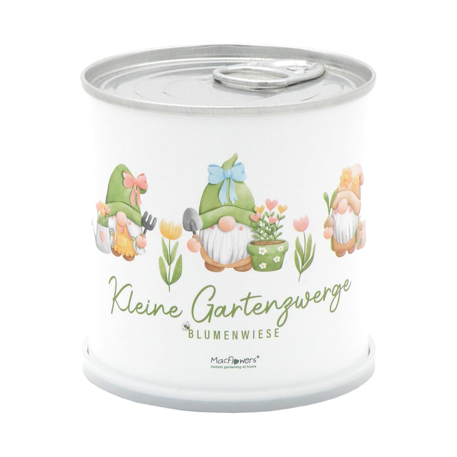 Anzuchtset mit Wildblumen | Kleine Gartenzwerge