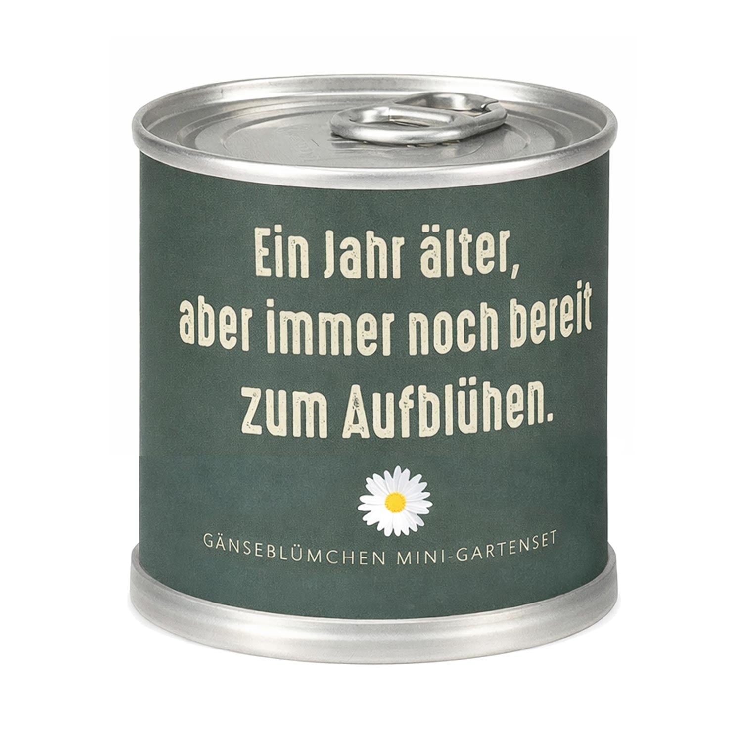Gänseblümchen Anzuchtset – Nachhaltiges Geburtstagsgeschenk in der Dose "Aufblühen"