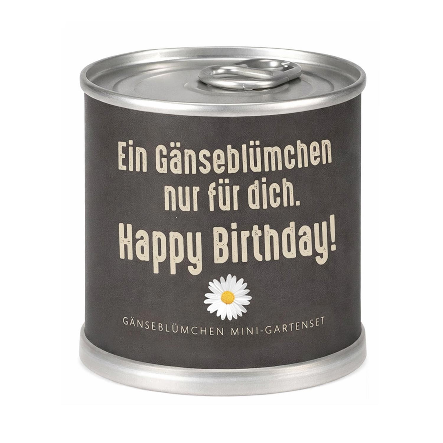 Gänseblümchen Anzuchtset – Nachhaltiges Geburtstagsgeschenk in der Dose "Nur für Dich"