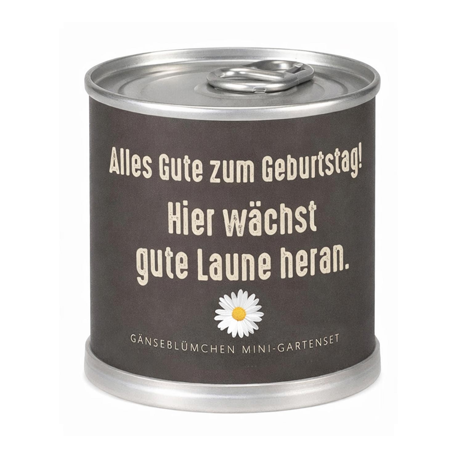 Gänseblümchen Anzuchtset – Nachhaltiges Geburtstagsgeschenk in der Dose "Gute Laune"