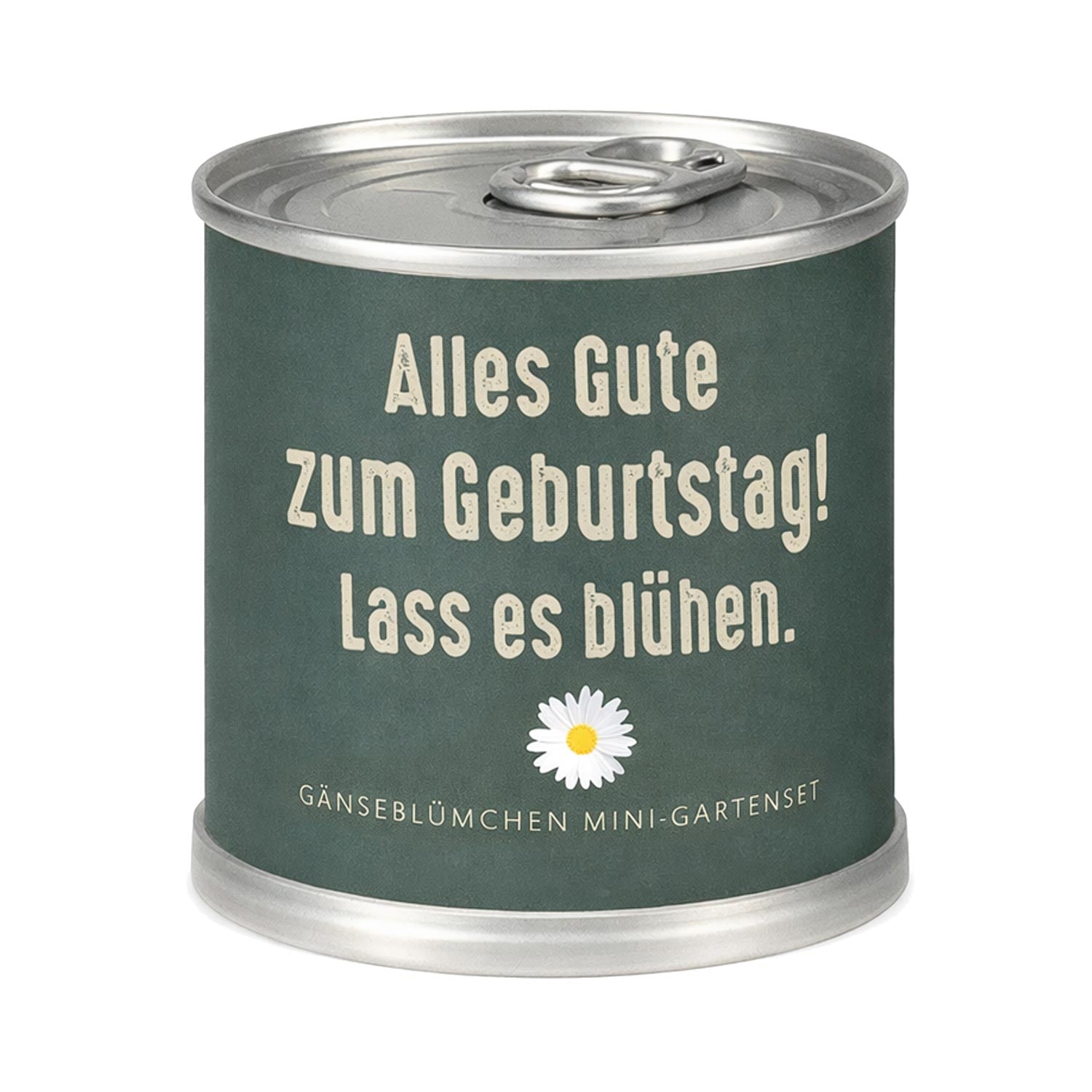 Gänseblümchen Anzuchtset – Nachhaltiges Geburtstagsgeschenk in der Dose "Blühen"
