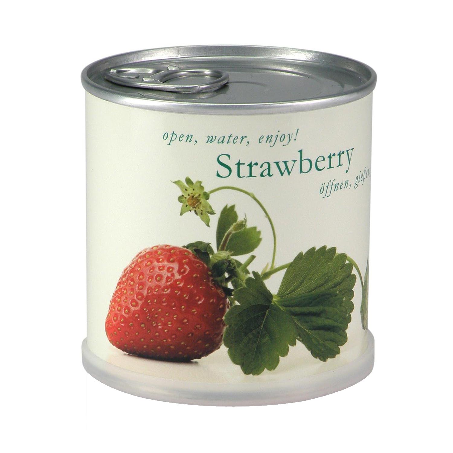 Kleines Anzuchtset mit Erdbeeren